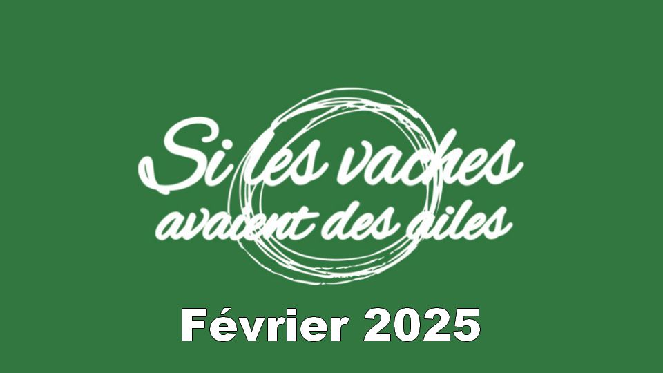 En février 2025 à l&rsquo;Espace Matthieu Côte