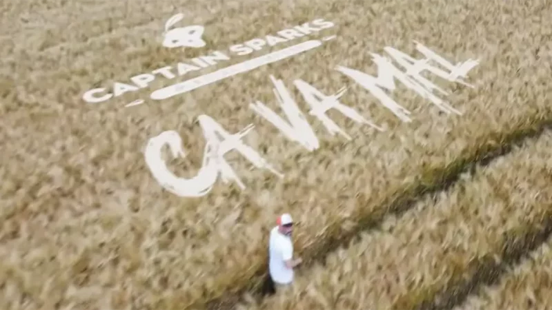 Captain Sparks & Royal Company : ça va mal