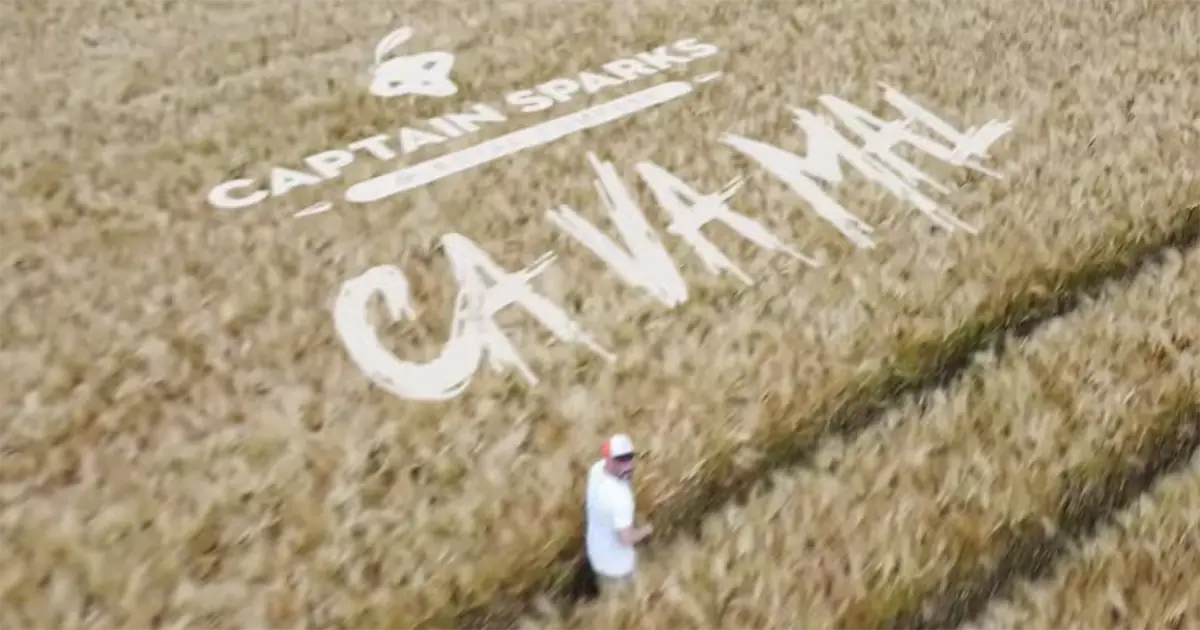 Captain Sparks & Royal Company : ça va mal