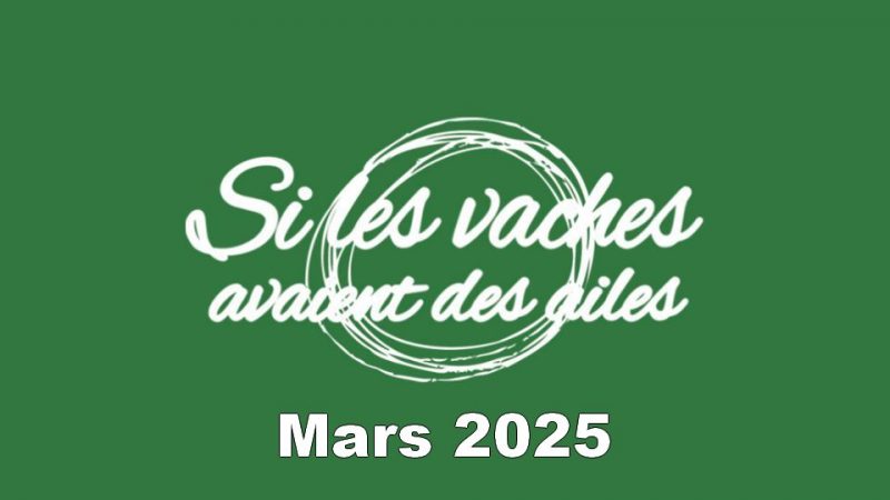 En mars 2025 à l&rsquo;Espace Matthieu Côte