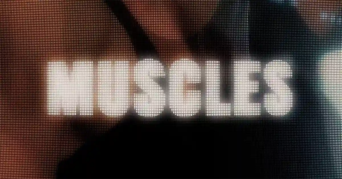 The Flying Bones : Muscles [CLIP]