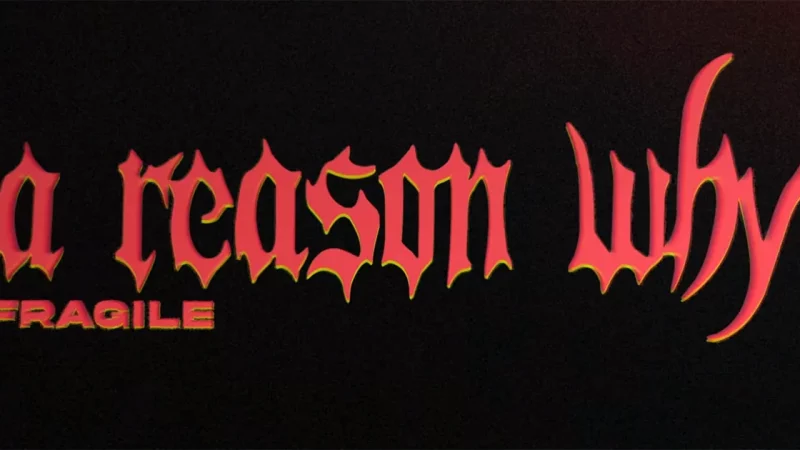 Fragile : A Reason Why