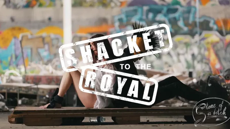 Stone of a Bitch : Shacket to the Royal